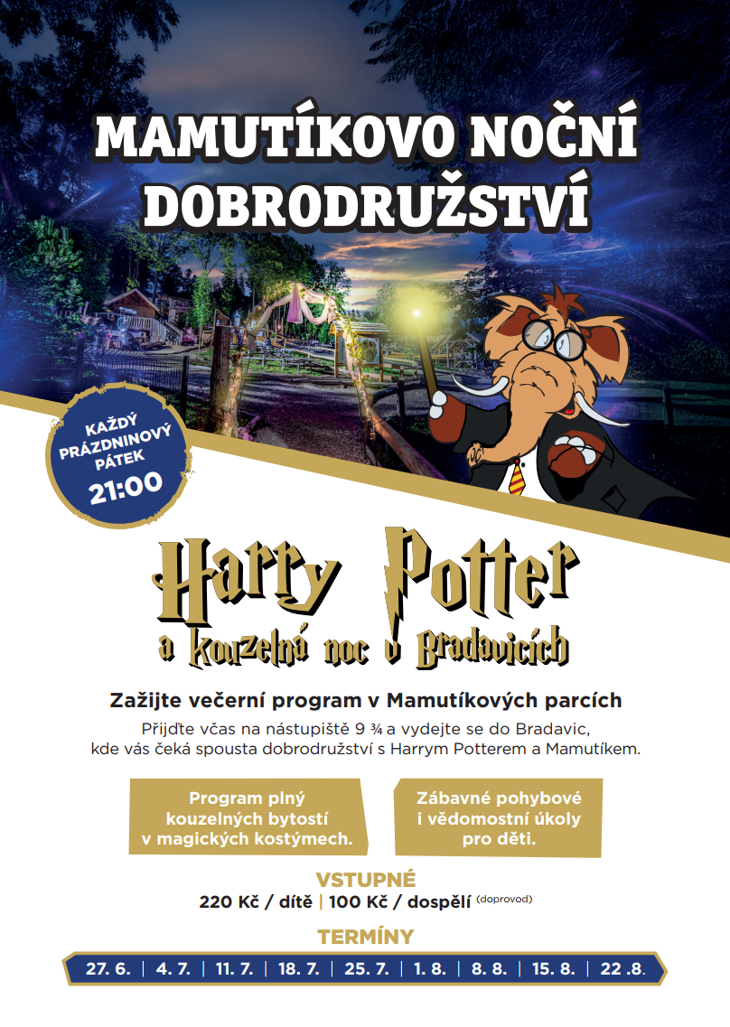 Snímek obrazovky 2025-06-25 100542